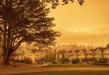 Wildfire Smoke Is Here To Stay. Here’s How To Clean The Air Inside Your Home.