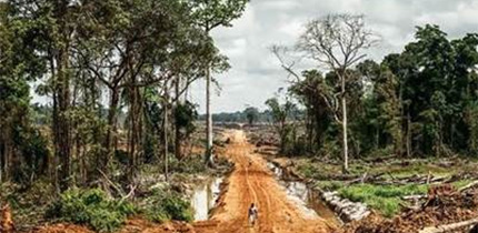 De-forested area in Liberia