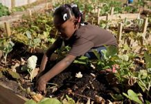 Meet The 6-Year-Old Who Is A Certified Professional Farmer