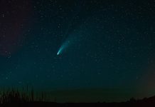 Comet Leonard Passing By
