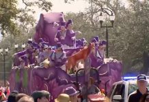 Mardi Gras Parades