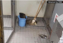 Images And Video Show Inside The Uss George Washington Aircraft Carrier