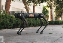 These Robot Engineers Are Inspired By Cats