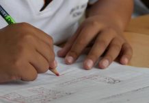 Education Was On The Ballot. Here’s How Key Issues Played Out
