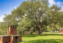 HBCUs Carry the Weight of History