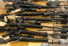 Three Killed In Portland, Gun Bills Introduced