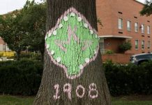 For Alpha Kappa Alpha, Going Green Is a Serious Matter