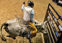 Black Rodeo On Juneteenth Announced In Portland