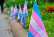 It’s Time To Stand Up For Black Trans And Nonbinary Students