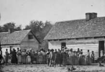 Florida Decides to Teach That Our Ancestors Benefitted From Being Enslaved