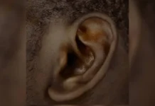 How to Acknowledge And Include The Deaf Community During Deaf Awareness Month