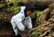 For Preschoolers After The Pandemic, More States Say: Learn Outdoors