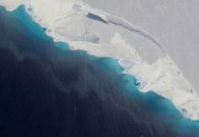 Rapid Melting In West Antarctica Is ‘Unavoidable,’ Potentially Disastrous Consequences For Sea Level Rise