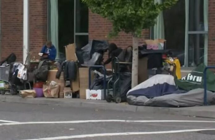 Portland Metro Area's Homeless Tax Revenue Boost Of Nearly $1 Billion ...