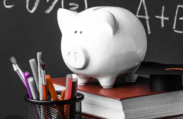 BUDGET CUTS IN PUBLIC SCHOOLS visual data 3