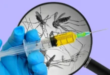 A New Malaria Vaccine Could Save Millions, But More Still Needs To Be Done To Stop The Deadly Disease