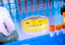 Bird Flu Tests Are Hard To Get. So How Will We Know When To Sound The Pandemic Alarm?