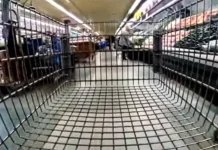 Kroger-Albertsons Merger Faces Opposition From Union Over Wage Commitments