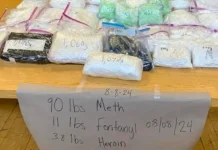 Portland Police Make Historic Drug Bust, Seizing Over 100 Pounds Of Narcotics