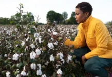 No One Wants to Talk About Racial Trauma. Why My Family Broke Our Silence