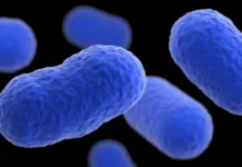 Nearly 10 Million Pounds Of Meat Recalled Due To Listeria Concerns