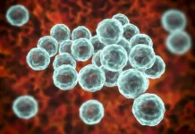 CDC Optimistic About STI Decline In US, But Infection Rates Still High