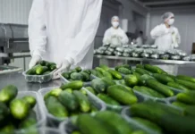 Is Our Food System Safe?