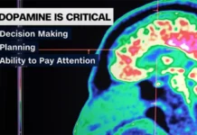 Health Minute: How To Design A “Dopamenu” For Motivation