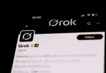 A ‘Rogue Employee’ Was Behind Grok’s Unprompted ‘White Genocide’ Mentions