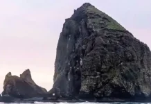 New Express Transit Service Makes Coastal Getaways More Accessible For Portland Residents