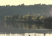 Bodies Recovered From Willamette River Amid Ongoing Search For Missing Kayaker