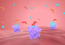 How Stress Shapes Cancer’s Course