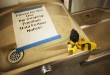 Toxic Legacy: How Lead In Schools Is Silently Harming Black Kids