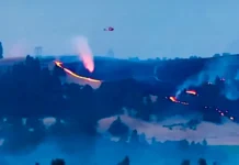 Portland U.S. Forest Service Offices To Close As Part Of Major Restructuring Plan