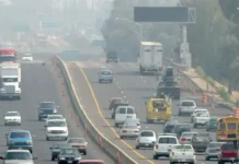 One Weird Trick To Fix The Climate Crisis