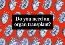 Need an Organ Transplant? These 7 Resources Can Help