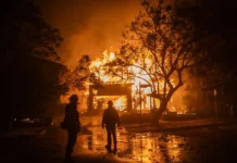 Officials Arrest Man In Florida On Suspicion Of Starting Devastating Palisades Fire