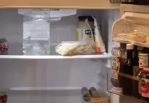 Oregon SNAP Benefits Halted, Leaving Many Families at Risk of Hunger