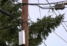 Power Outages Affect Thousands As Heavy Storm Hits Oregon