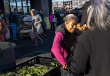 Is the Solution to Hunger All Around Us In Fertile California?