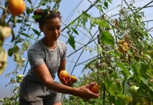 10 Black-Led Food Justice Organizations You Should Know About