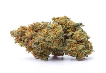 ‘Scromiting,’ A Bizarre Condition Linked To Chronic Marijuana Use, Is On The Rise