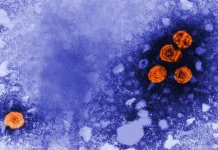 CDC Vaccine Advisers’ New Focus On Hepatitis B Tests In Pregnancy Is Not Enough, Some Doctors Warn