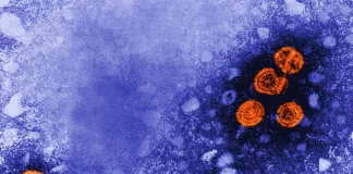 CDC Vaccine Advisers’ New Focus On Hepatitis B Tests In Pregnancy Is Not Enough, Some Doctors Warn