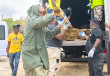 Sean Paul Helps Jamaica Rebuild After Hurricane Melissa