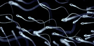 At Least 197 Children Were Fathered By Sperm Donor With Cancer-Causing Gene. Some Have Already Died