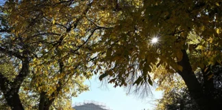 Supreme Court To Review New Jersey’s Subpoena Of Faith-Based Pregnancy Centers