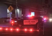 Pedestrian Killed In North Portland Crash, Deputies Shoot Man With Axe