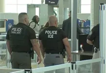 ICE Sent To Airports Amid TSA Shortages