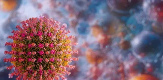 Health Officials Confirm Measles Case Linked To Gresham Grocery Store Exposure